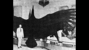 АРГЕНТАВИС - КРУПНЕЙШАЯ ПТИЦА В ИСТОРИИ | ARGENTAVIS