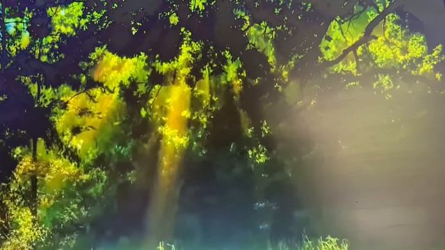 Работа с огледало - Водена Медитация - Ден 14 смотреть онлайн