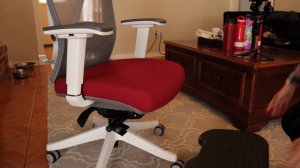 Ergonomic Chair Upgrade! Autonomous ErgoChair 2 Review