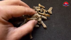 Окаменелые Кораллы Яузлар нижние Водопады