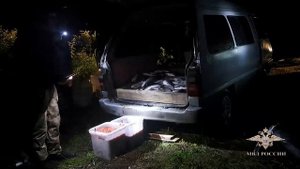 Ирина Волк: На Камчатке полицейские пресекли факты незаконного оборота красной икры