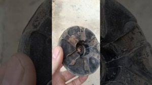 как поднять зад Хонда элизион передний привод