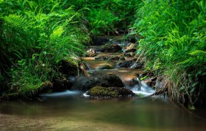 Расслабляющая музыка в стиле дзен со звуками воды✦Расслабление, сон, спа, йога, медитация