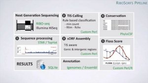 Gerben Menschaert: Multi-Omics Integration: Ribosome Profiling Applications