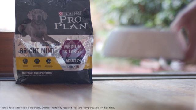 Watch Warren's story – PRO PLAN BRIGHT MIND Adult 7+ смотреть онлайн