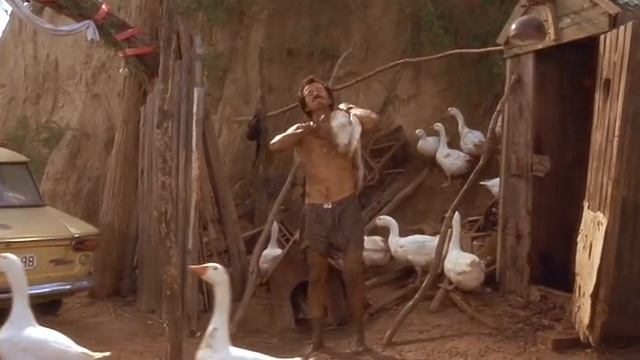 Оригинальные способы использования гусей смотреть онлайн