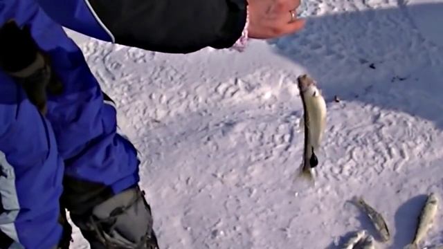 Озеро Невское Рыбалка Сахалин .2016 год смотреть онлайн