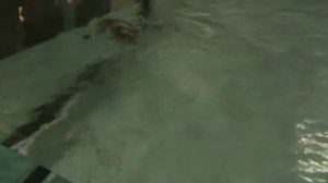 Прикольные пингвины.