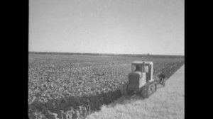 Туркменск ССР,Ташаузский область,Ленинский район,колхоз имена Тельмана.Председатель Оразгелды Эрсар