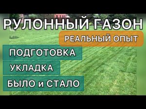 Газон с нуля. Подготовка грунта и укладка рулона. ПОДРОБНО шаг за шагом. Дневник садовода