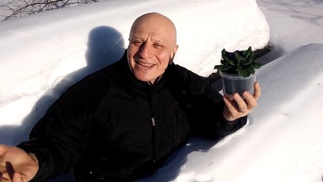 Котовский - любимым женщинам! смотреть онлайн