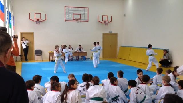 Тэквондо.Зелёный пояс (6 гып)