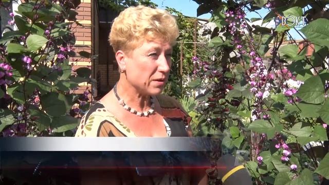 Райский уголок своими руками. Елена Воеводина делится секретом выращивания цветов смотреть онлайн