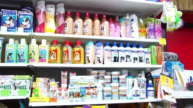 Утренний эфир / Уход за собакой смотреть онлайн