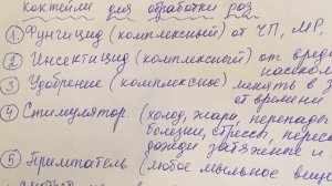Коктейли для обработки роз от болезней и вредителей!