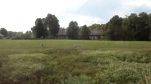 Пушкинские горы. Достопримечательности Пушкинских Гор