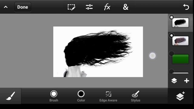How to make the Perfect Hair Selection in PS Touch