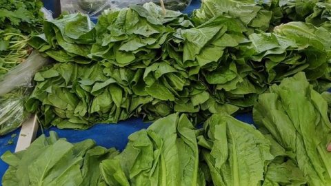 Турецкий язык НА ТУРЕЦКОМ БАЗАРЕ! ПОКУПАЕМ И УЧИМ все названия с носителем языка \ УРОК 4