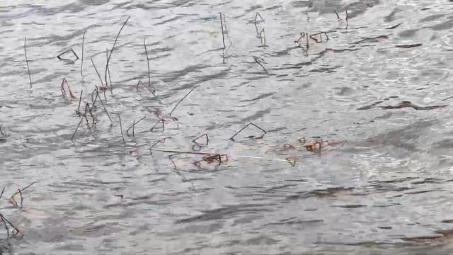 Карелия. Деревня Рауталахти. Сентябрь 2023 смотреть онлайн