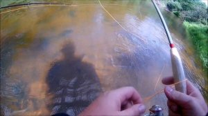 ВОТ ЭТО КЛЁВ!!!. Ловим трофейного хариуса в Псковской области.