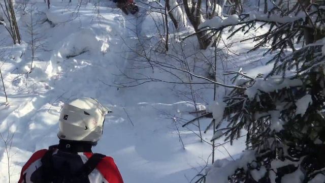 Покатушки на снегоходах, Brp, Polaris смотреть онлайн