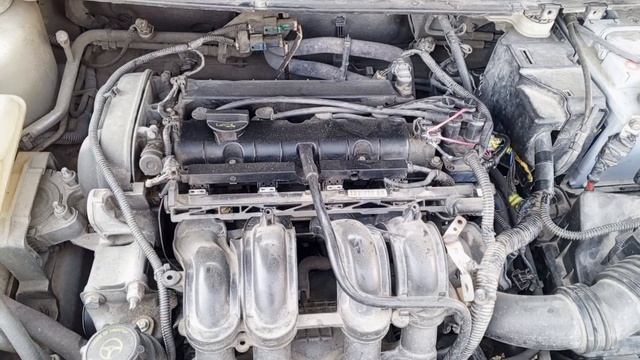 Видео работы двигателя Ford Focus 1.6 115 л.с./МКПП седан 2006 г. смотреть онлайн