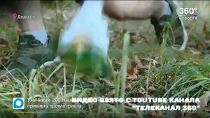 Что такое волонтерство?