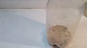 Ч8 как сделать ферму мух