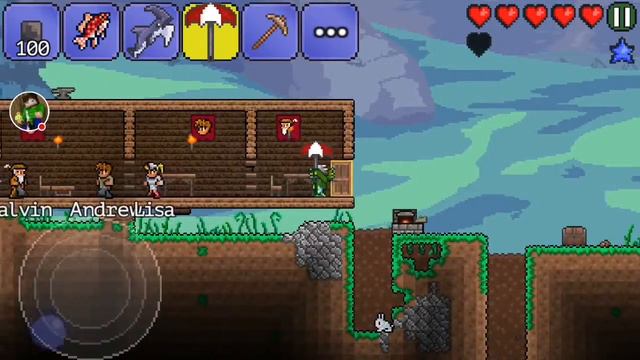 Terraria призыватель 3