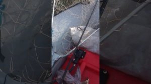 Ривьера 2900 нднд, мотор Hidea 5 , 4 такта, обкатка.
