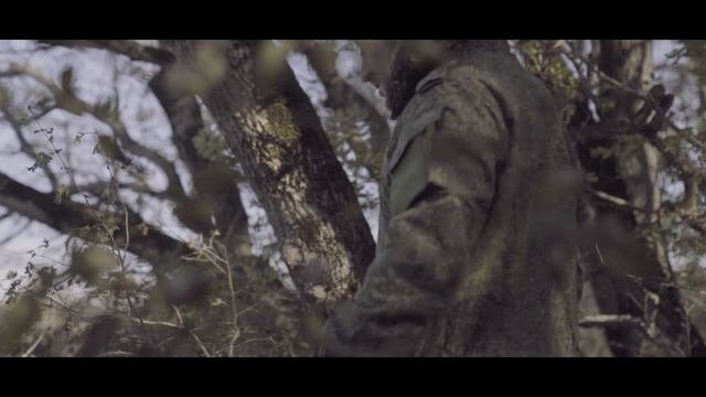 Письма