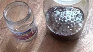 Настойка из Черноплодной рябины.