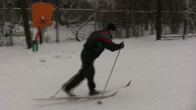 Попеременный одношажный ход на лыжах