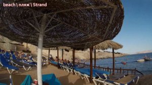 Hilton Sharks Bay Resort