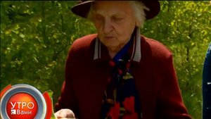 Собираем целебные травы - "Утро с Вами" 07.06.2013