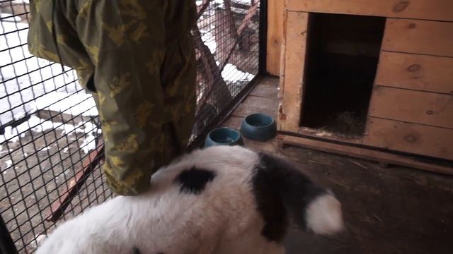 Промеры Сакара в 5,5 месяцев. смотреть онлайн