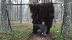 Укрытие от дождя в сосновом лесу из природных материалов.