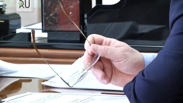 Руководитель Росреестра по Курганской области отчитался перед губернатором о проделанной работе смотреть онлайн