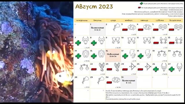 Лунный календарь СТРИЖКИ волос на АВГУСТ 2023 Благоприятные и неблагоприятные дни #календарьстрижек