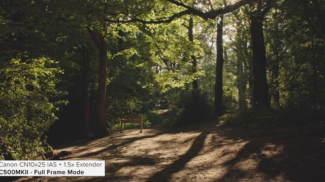 Canon Cine-Servo 25-250mm (CN10x25) Lens Test & Overview