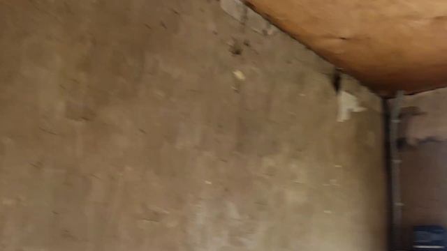 Заброшенная дача 2023/Погода не может помешать планам! 2 серия смотреть онлайн