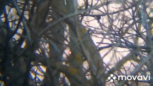 Как далеко видит телескоп. Наземные объекты в телескоп.