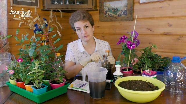 Фитоспорин - самая подробная инструкция.  Лучшее средство для ваших черенков - фитоспорин.