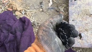 Ремонт промежуточной опоры мтз (часть2)