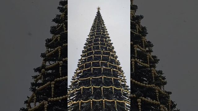 Video.Guru_20230616_164945919.mp4 смотреть онлайн