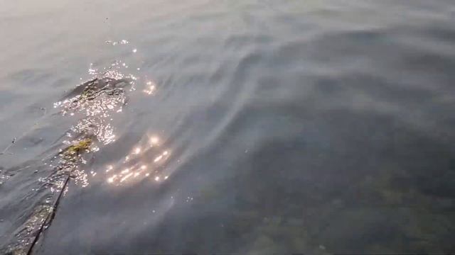 Ангара Усть Илимск часть 3 тянем сеть смотреть онлайн