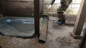 Птичий дворик Куры. Подсадные утки. (утки сели на яйца в октябре)