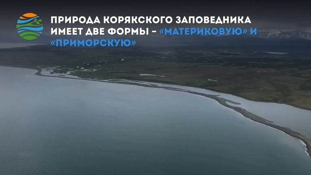 Корякский заповедник отмечает 25-летие смотреть онлайн