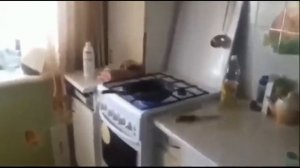 как создать динамит в террарии (и их последствия)