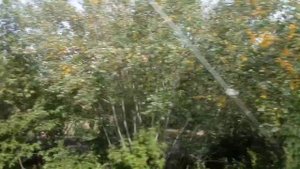 Из Химок до Ленинградского вокзала на электричке ЭС2Г "Ласточка"